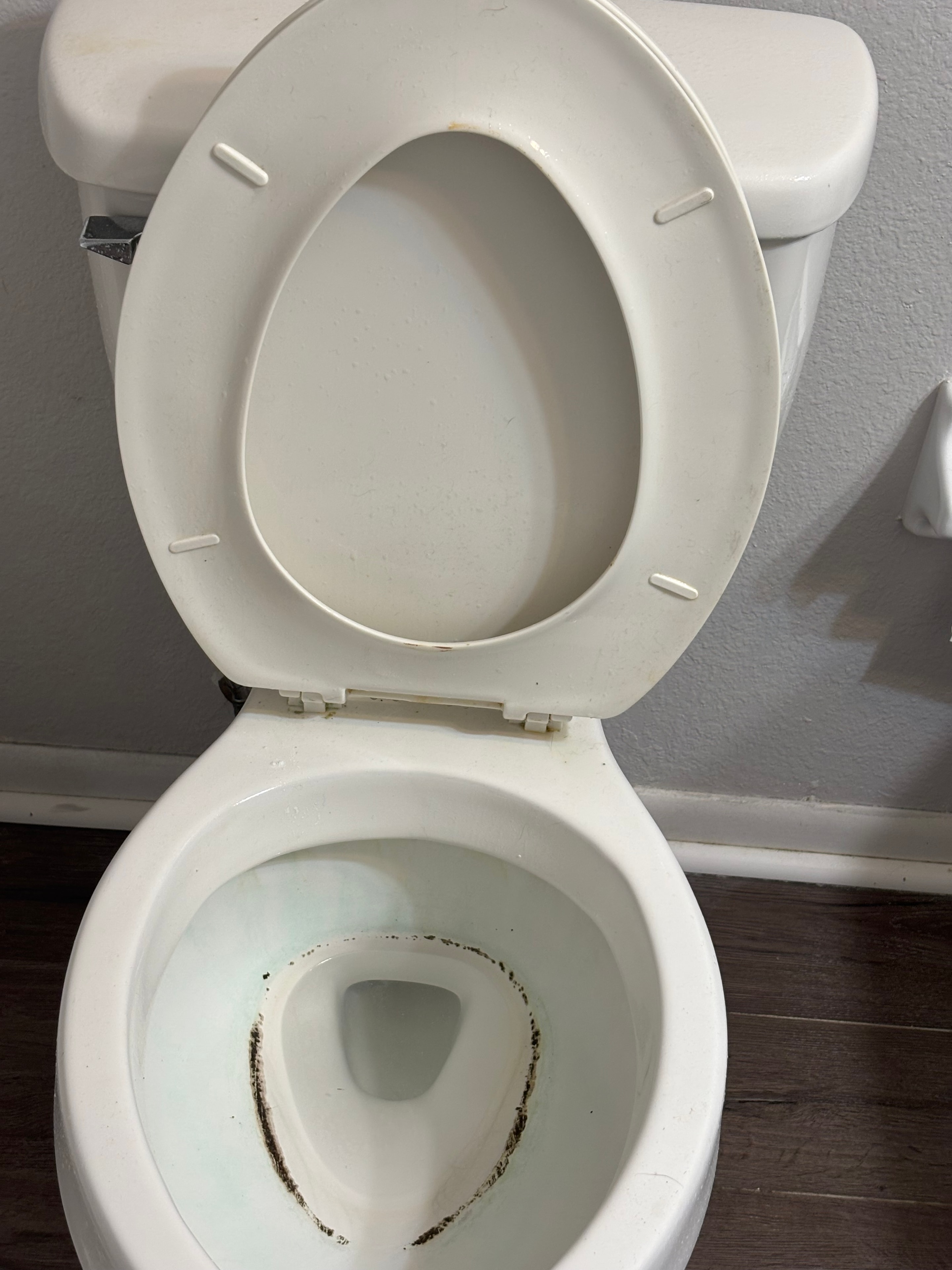 Toilet with heavy mineral staining before cleaning