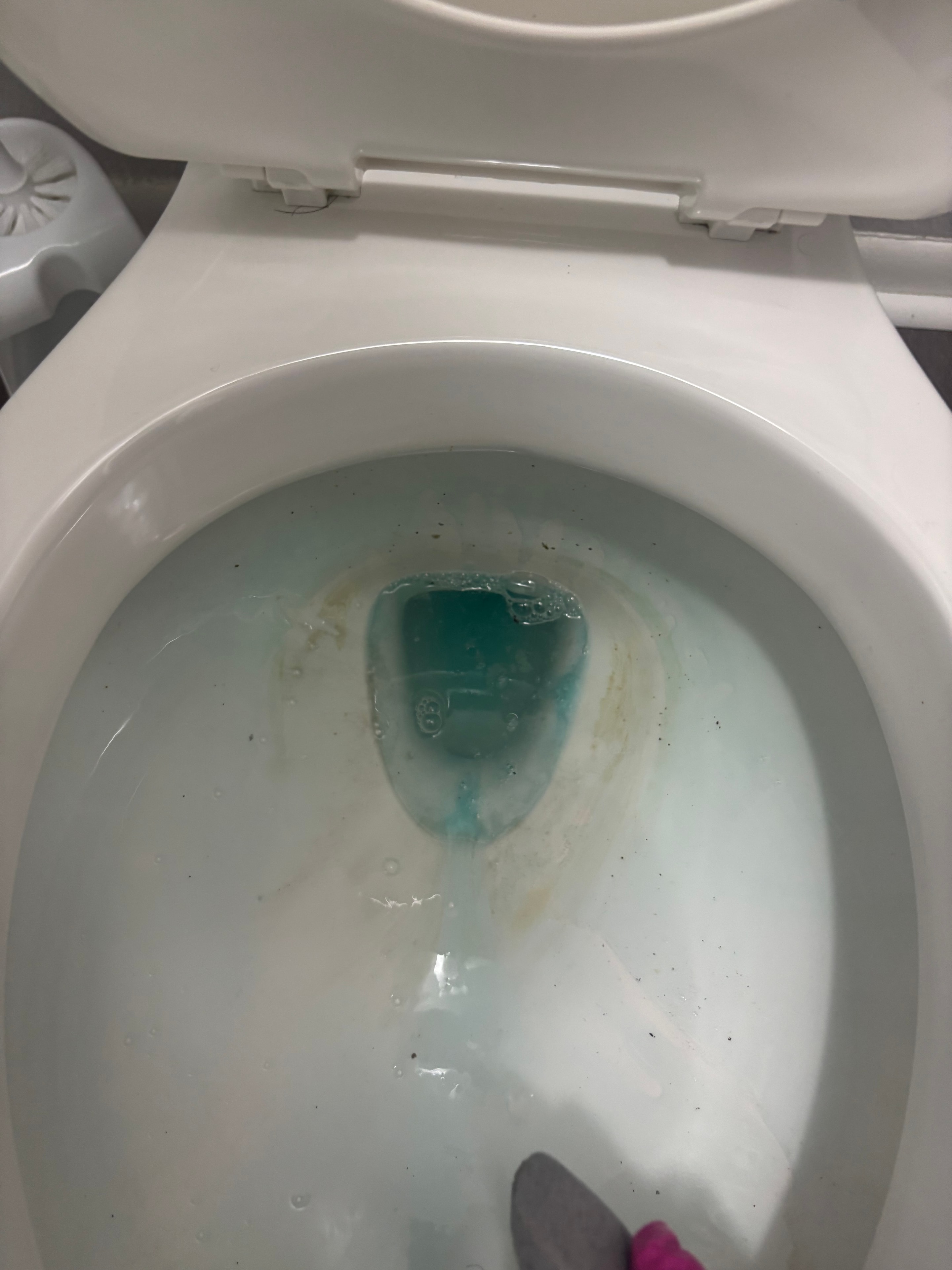 Toilet bowl with staining and cleaning product applied