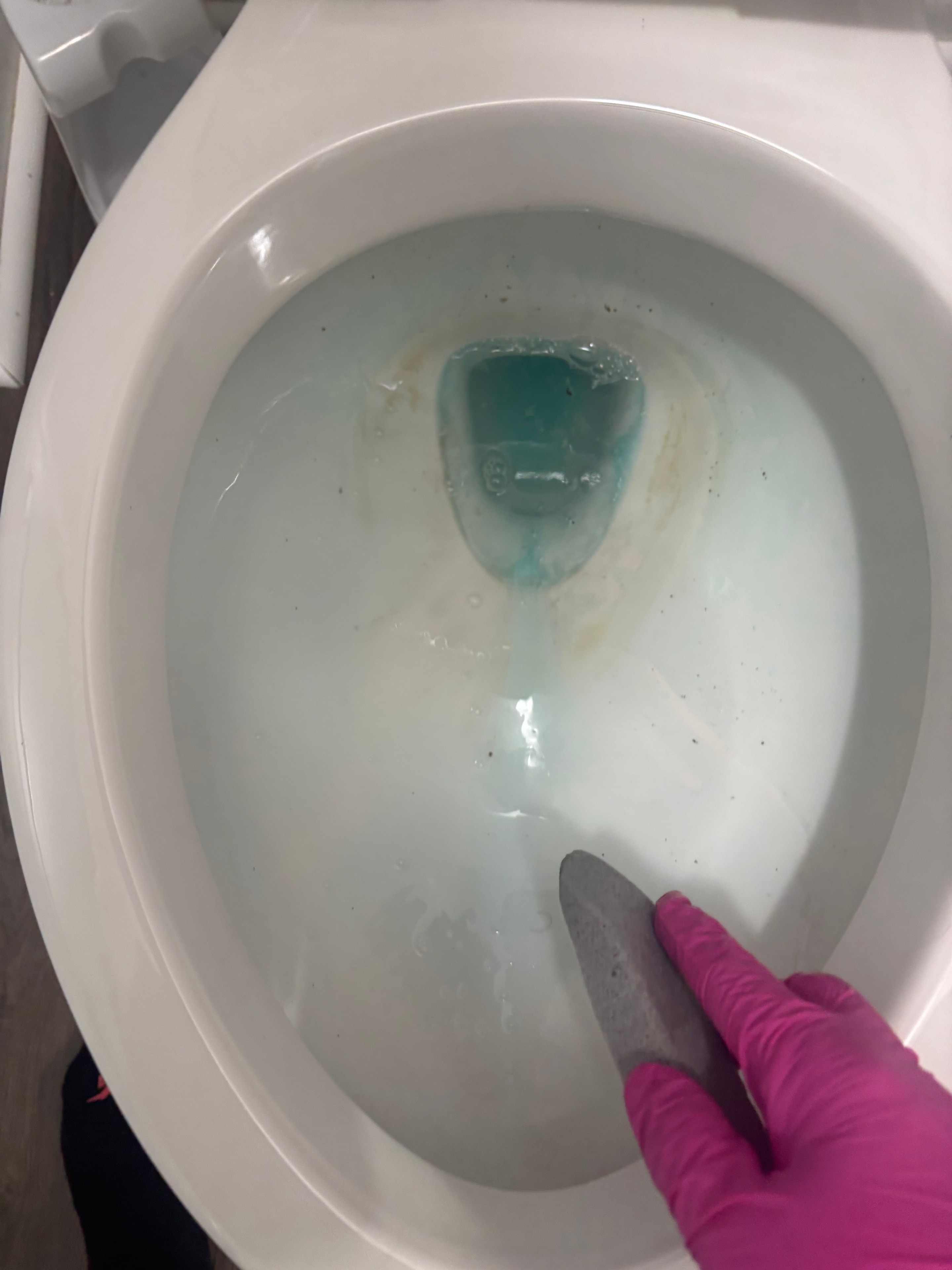Pink glove scrubbing toilet bowl with pumice stone